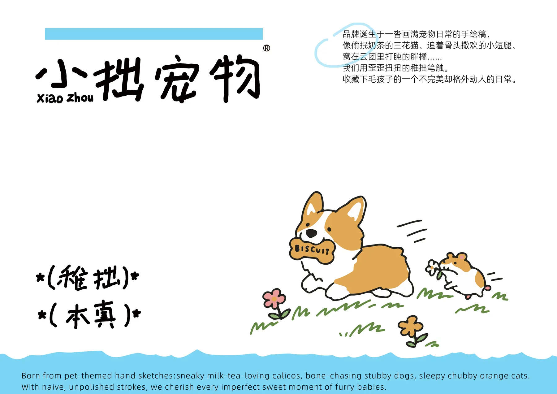 小拙宠物品牌设计封面