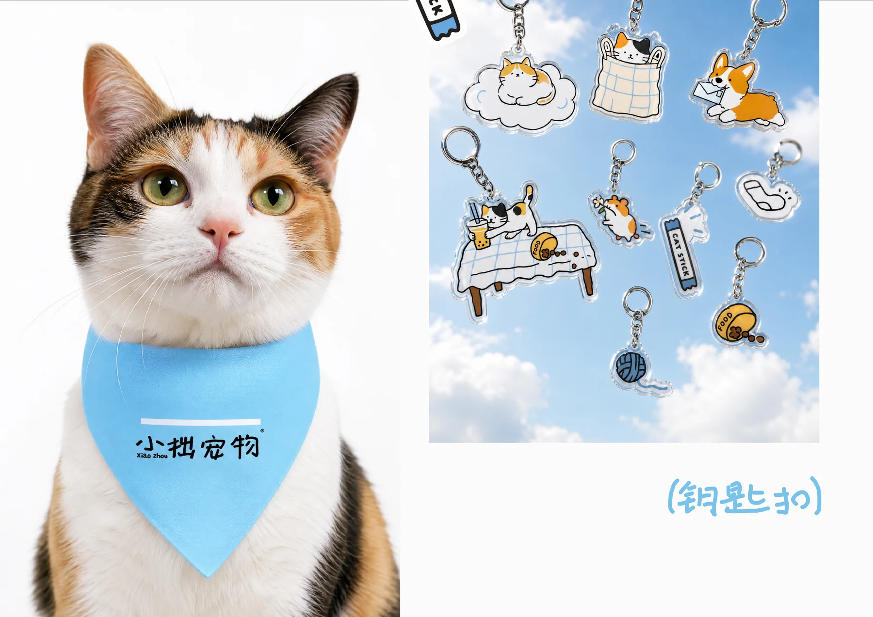 宠物领巾设计